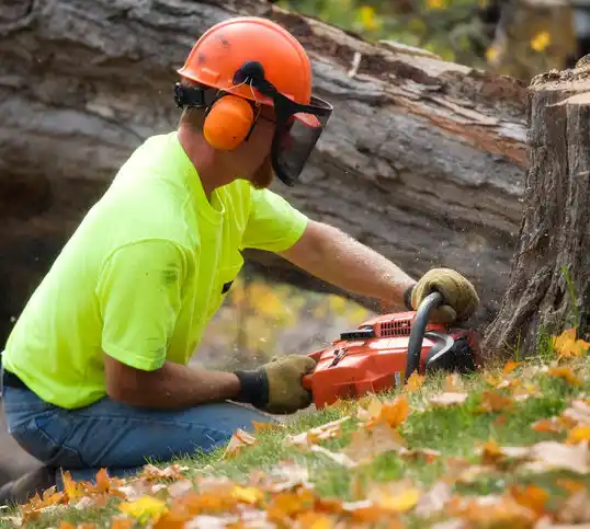 tree services Lake Lotawana